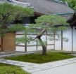 中式小别墅建筑庭院效果图片
