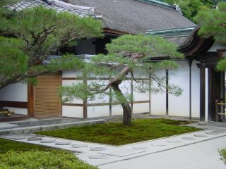 中式小别墅建筑庭院效果图片
