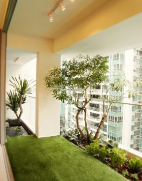 高层阳台花园装修效果图 2020室内植物图片