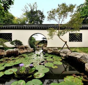 中式花园庭院图片大全