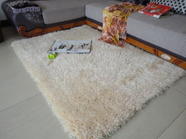 客厅地毯设计