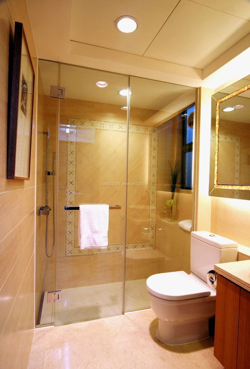 2017家装室内设计小户型浴室玻璃门效果图