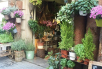 花店店面怎么裝修？