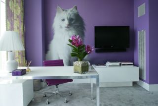 家庭书房紫色系图片