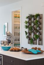 厨房背景装饰植物墙设计图