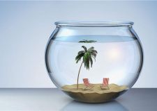 魚缸的擺放風(fēng)水 魚缸擺放位置有哪些禁忌