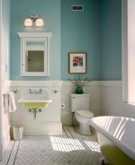 紧凑型卫生间淡蓝色设计欣赏