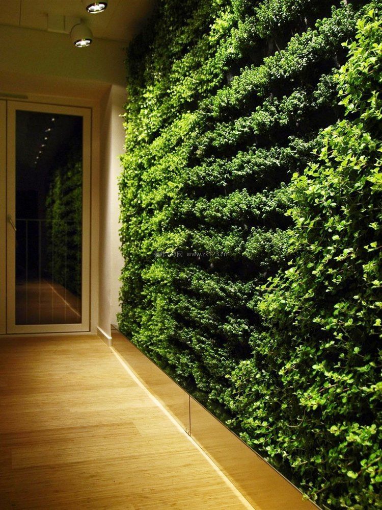2021绿色植物墙设计图