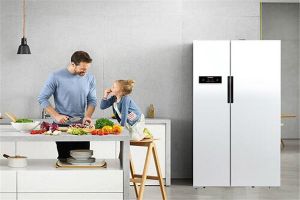冰箱的十大品牌是哪些