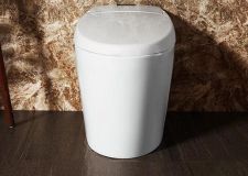 坐便器什么牌子好 坐便器價格