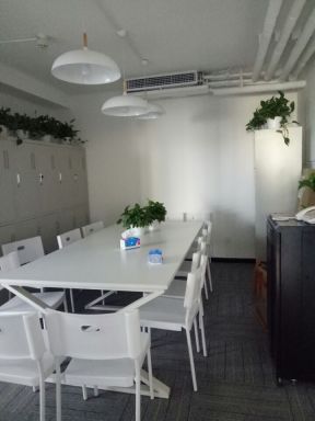 办公会议室盆栽植物装修效果图片
