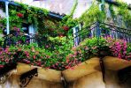 怎樣設(shè)計(jì)家庭花園才好看?
