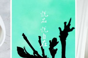 怎么設計店鋪