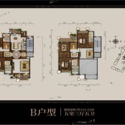 B户型 五室三厅五卫