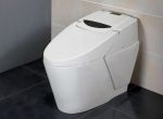卫生间选马桶还是蹲厕好，卫生间蹲便器如何选择？