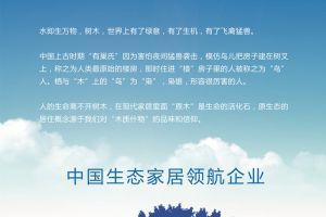 北京水木南山装饰淮南公司