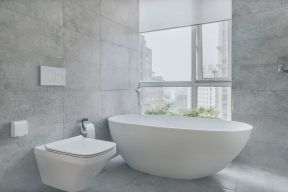  2020卫浴浴缸效果图 坐式马桶图片 
