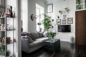 北欧风格单身公寓精装室内盆景效果图