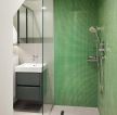 绿色家居卫生间干湿分区装饰设计图片