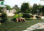 2023高档私家别墅庭院花园绿化布置图片