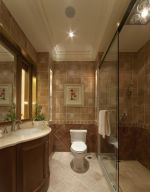 美式风格住宅卫生间干湿分区装修效果图 
