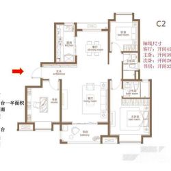 3室2厅C2户型，119平米