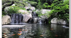 深圳假山鱼池设计 风水讲究到底有哪些