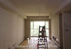保利百合郡7-1-503客厅墙面基层处理完成，正进行主卧墙面基层处理【2018.8.14】