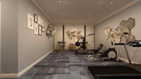 红星法兰郡欧式风格家庭健身房设计效果图片