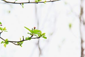 天津東興裝飾城