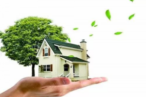 什么是绿色环保家庭装修