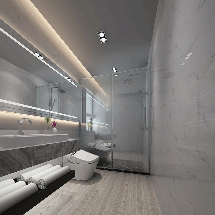 现代简约80平米两室两厅卫生间干湿分离设计图片
