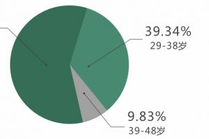 家装白皮书