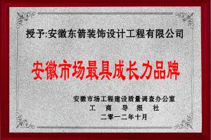阜陽(yáng)弛盛裝飾