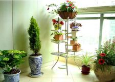休閑型家庭陽(yáng)臺(tái)怎么擺放植物