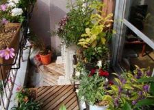 陽臺(tái)花園裝修效果圖欣賞   體悟花草自然之美