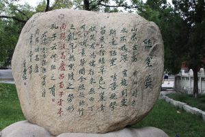 為什么別人都能找到好的模型，自己的卻那么