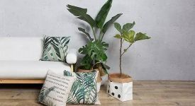 夏天，用綠色填滿一場美妙的邂逅！