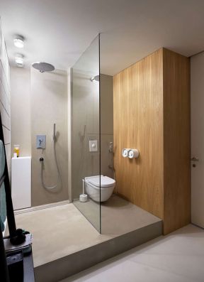 卫生间隔断设计图 卫生间隔断设计效果图 卫生间玻璃隔断图片 