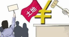 桐柏縣自然資源局國(guó)有土地使用權(quán)掛牌拍賣公告