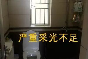 樂陽裝飾