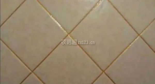 瓷磚縫隙護(hù)理圖片