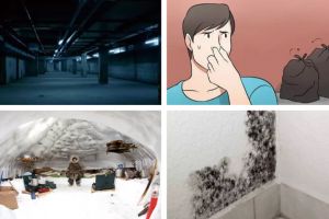 睿締裝飾