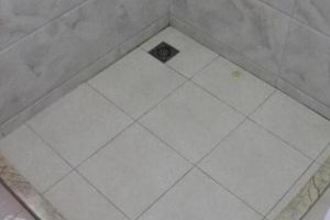 鄰居家裝飾