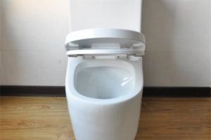 小廁所設(shè)計(jì)技巧