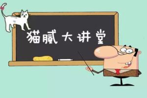 愛迪家裝飾