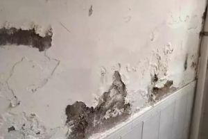 陜西魯班裝