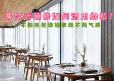 餐飲店裝修如何活用綠植? 不同類型綠植表現(xiàn)不同氣質(zhì)