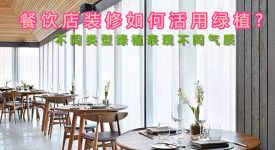 餐饮店装修如何活用绿植? 不同类型绿植表现不同气质