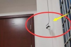 街道辦事處設計